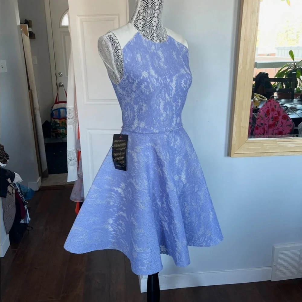 NWT Stunning Fit and Flare Dress With Periwinkle Lace. Small. - Picture 4 of 6